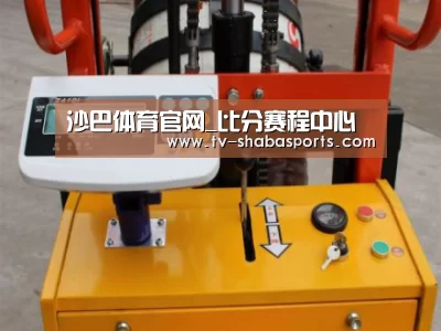 沙巴体育平台案例展示三(图1)