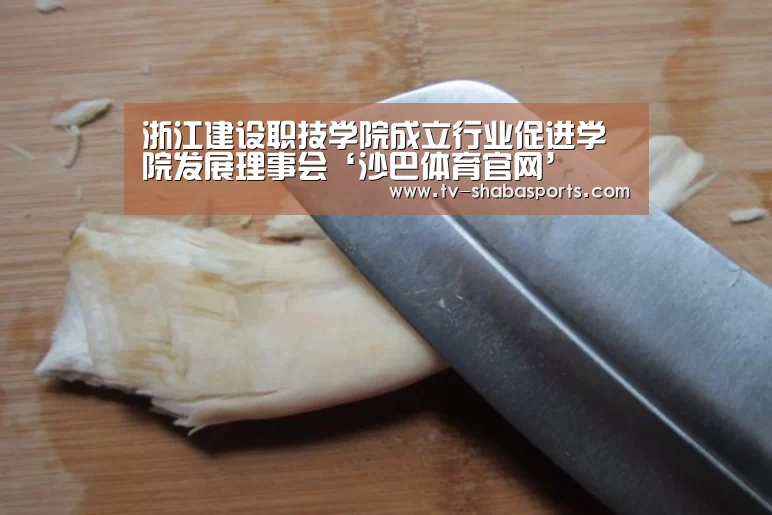 浙江建设职技学院成立行业促进学院发展理事会‘沙巴体育官网’(图2) 沙巴体育平台