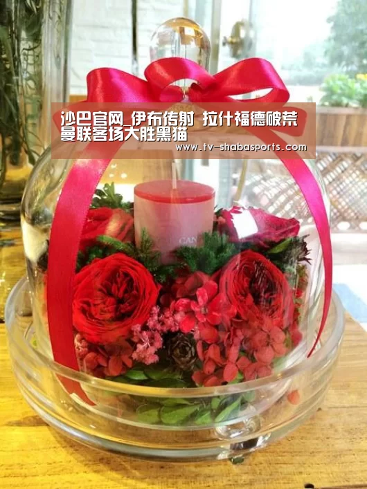 沙巴体育平台