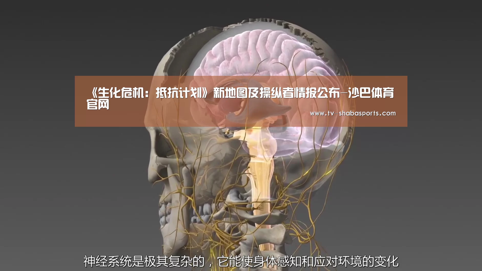 《生化危机:抵抗计划》新地图及操纵者情报公布-沙巴体育官网(图2) 沙巴体育平台
