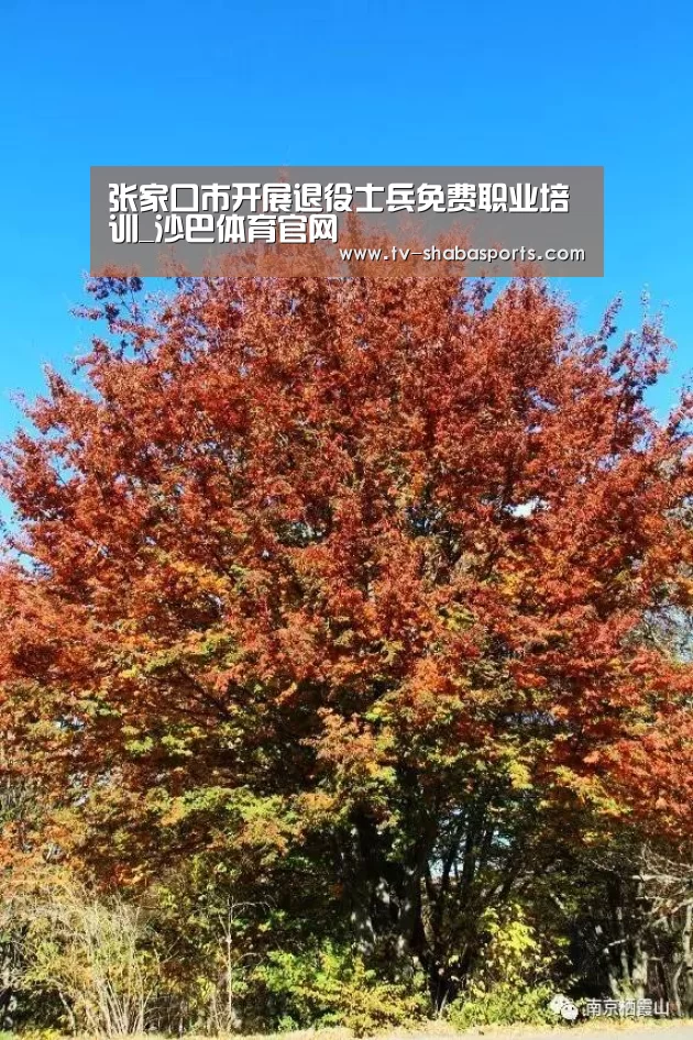 张家口市开展退役士兵免费职业培训_沙巴体育官网(图1) 沙巴体育