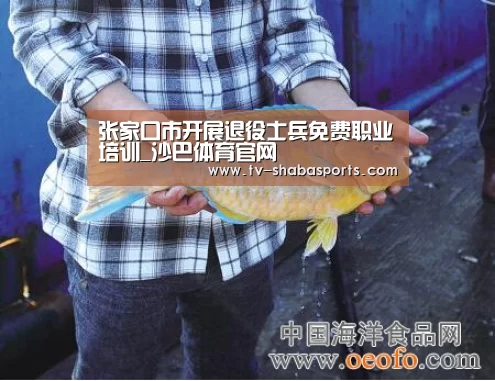张家口市开展退役士兵免费职业培训_沙巴体育官网(图2) 沙巴体育平台