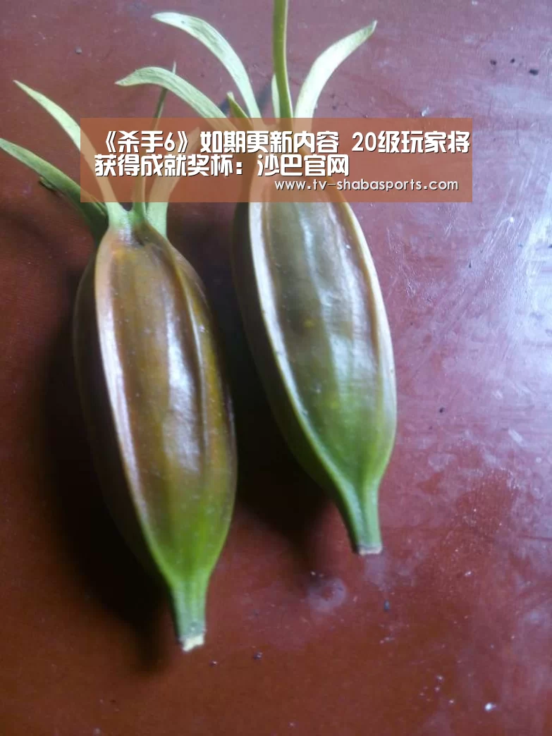 《杀手6》如期更新内容 20级玩家将获得成就奖杯:沙巴官网(图2) 沙巴体育