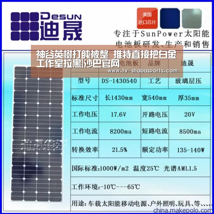 神谷英树打盹被整 推特直接把白金工作室拉黑|沙巴官网(图1) 沙巴体育平台