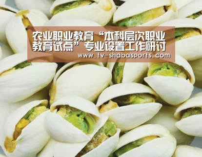 农业职业教育“本科层次职业教育试点”专业设置工作研讨会在江苏牧院召开“沙巴官网”(图3) 沙巴官网